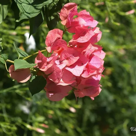 Apartmanhotel Katerina Párosz