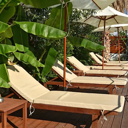 Katerina Aparthotel 2*